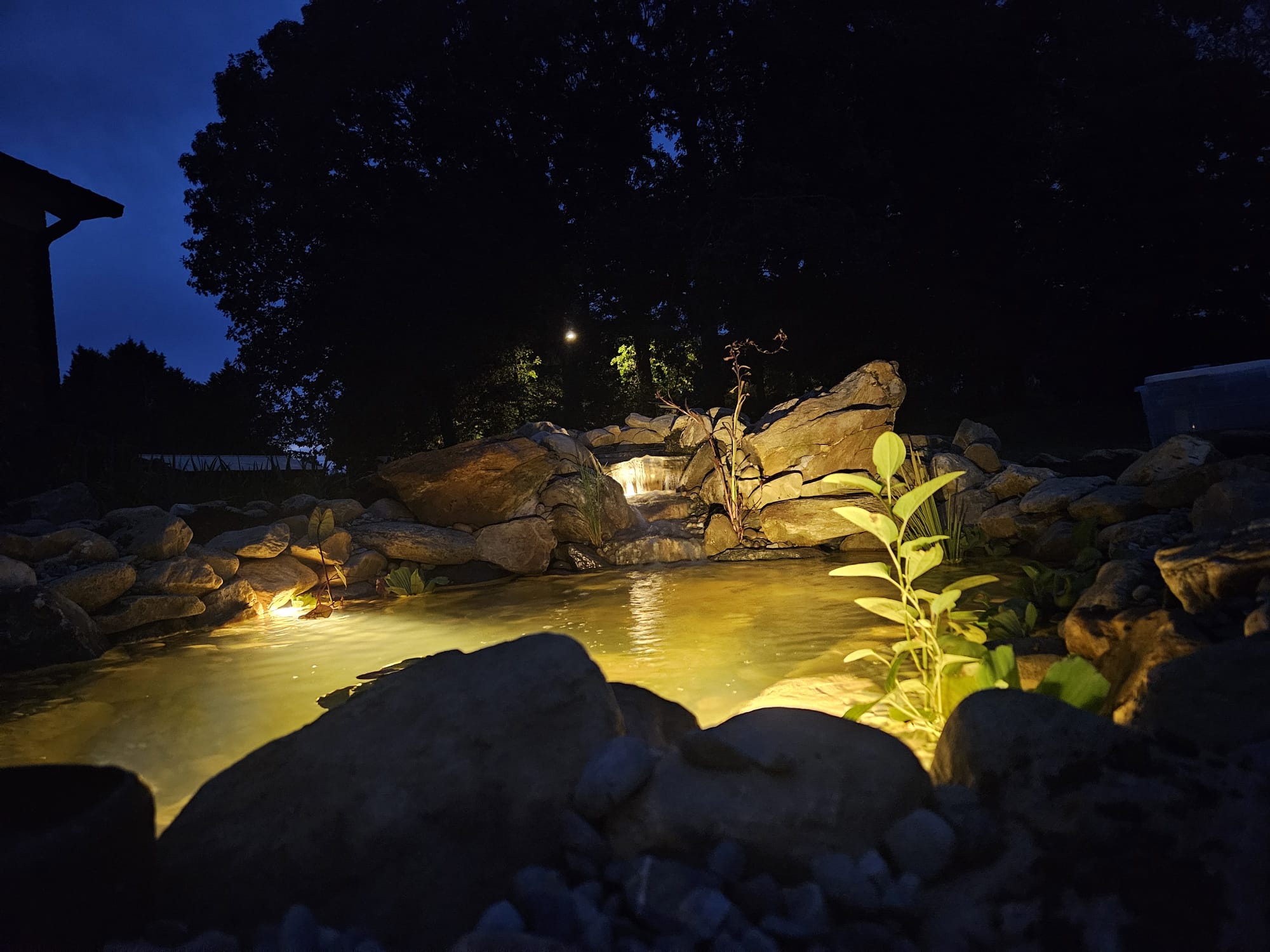 Custom pond under night lighting — Solid Rock