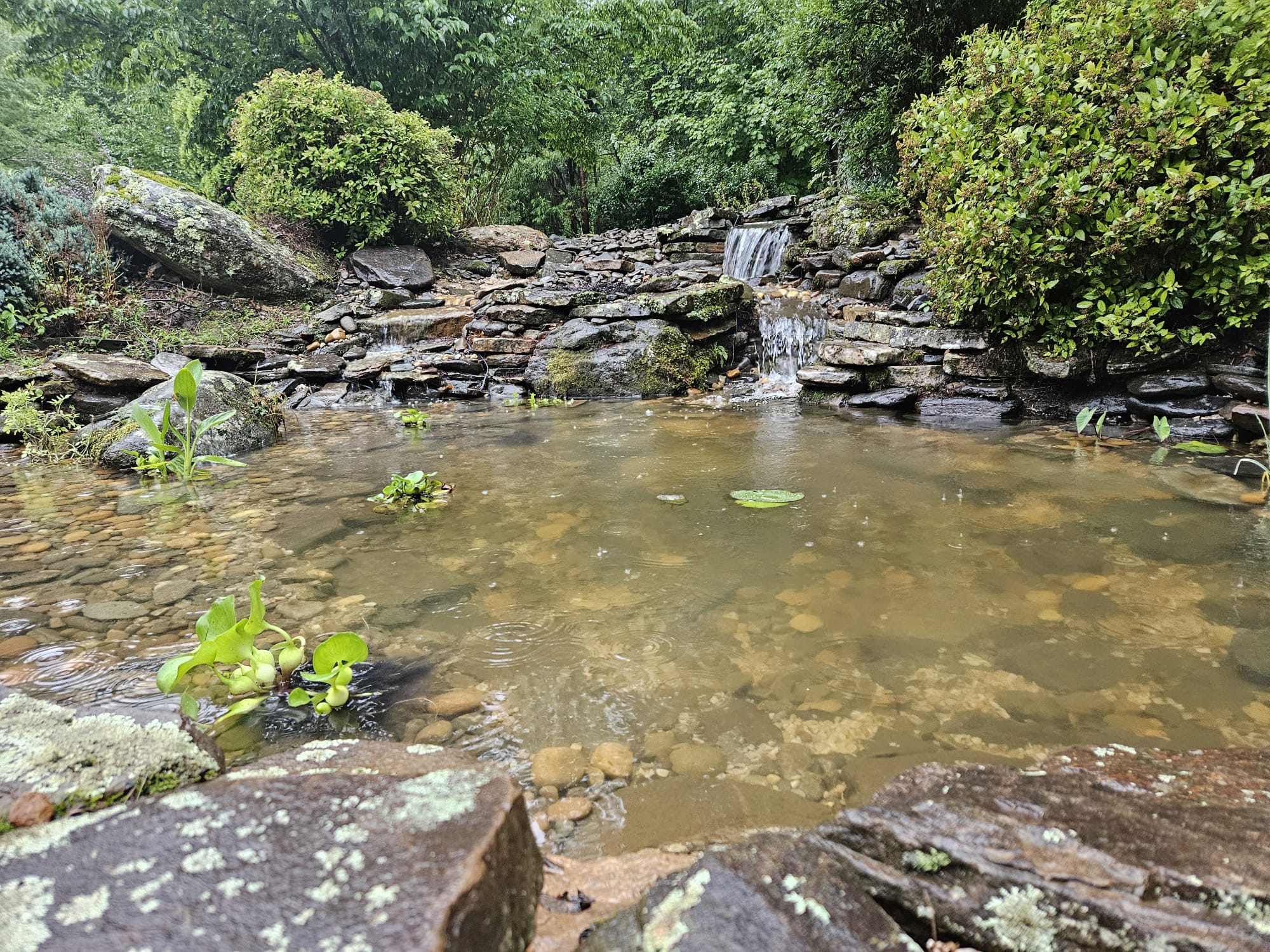 Natural Waterfalls